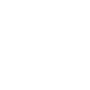 Placement Financier